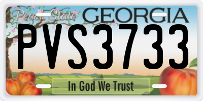 GA license plate PVS3733