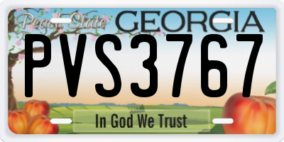 GA license plate PVS3767