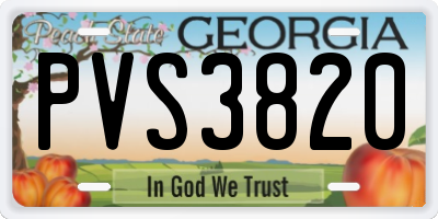 GA license plate PVS3820