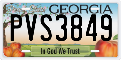 GA license plate PVS3849