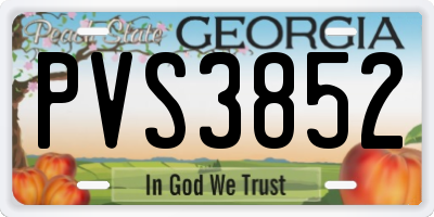 GA license plate PVS3852
