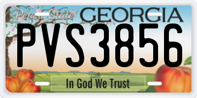 GA license plate PVS3856