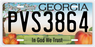 GA license plate PVS3864