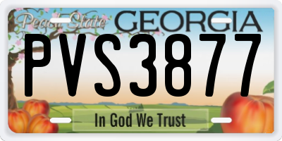 GA license plate PVS3877