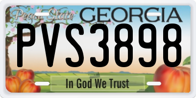 GA license plate PVS3898