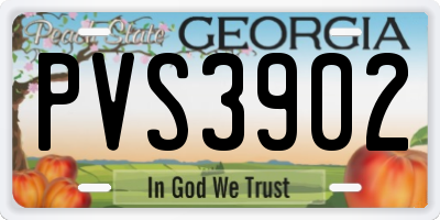 GA license plate PVS3902