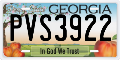 GA license plate PVS3922