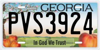 GA license plate PVS3924