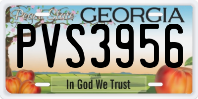 GA license plate PVS3956