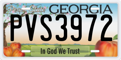 GA license plate PVS3972