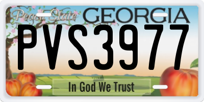 GA license plate PVS3977