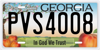 GA license plate PVS4008
