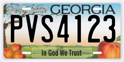 GA license plate PVS4123