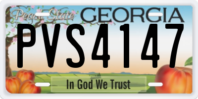 GA license plate PVS4147