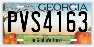 GA license plate PVS4163