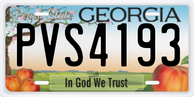GA license plate PVS4193
