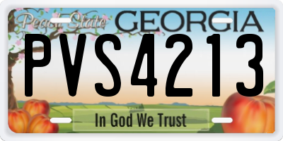 GA license plate PVS4213