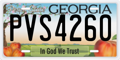 GA license plate PVS4260