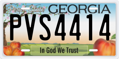 GA license plate PVS4414