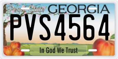 GA license plate PVS4564