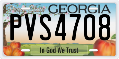 GA license plate PVS4708