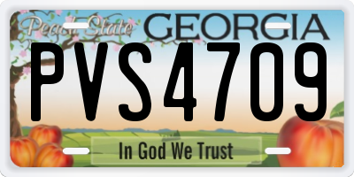 GA license plate PVS4709