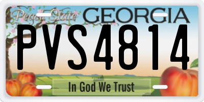GA license plate PVS4814