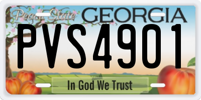 GA license plate PVS4901