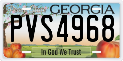 GA license plate PVS4968
