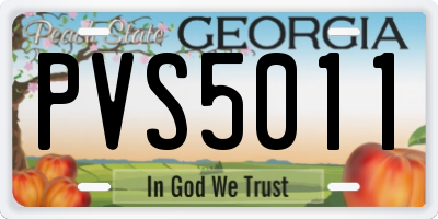 GA license plate PVS5011