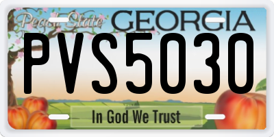 GA license plate PVS5030