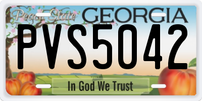 GA license plate PVS5042