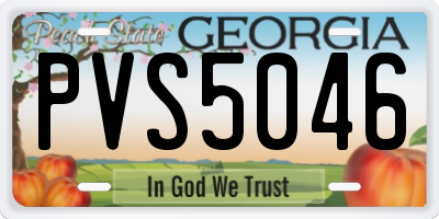 GA license plate PVS5046
