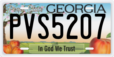 GA license plate PVS5207