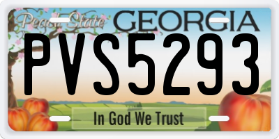 GA license plate PVS5293
