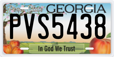 GA license plate PVS5438