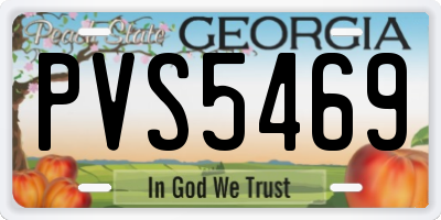 GA license plate PVS5469