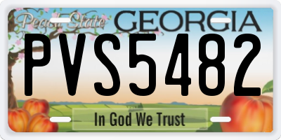 GA license plate PVS5482