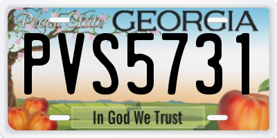 GA license plate PVS5731