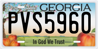 GA license plate PVS5960