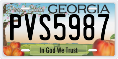 GA license plate PVS5987