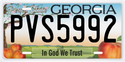 GA license plate PVS5992