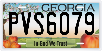 GA license plate PVS6079