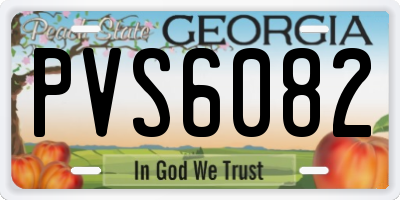 GA license plate PVS6082