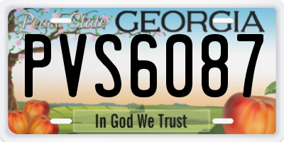 GA license plate PVS6087