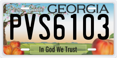 GA license plate PVS6103