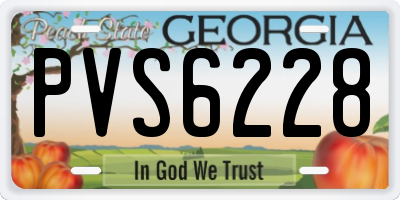 GA license plate PVS6228