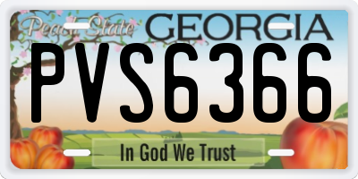 GA license plate PVS6366