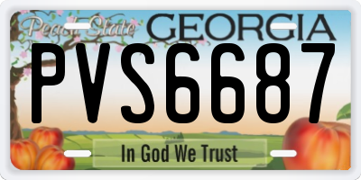 GA license plate PVS6687