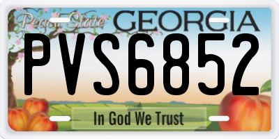 GA license plate PVS6852